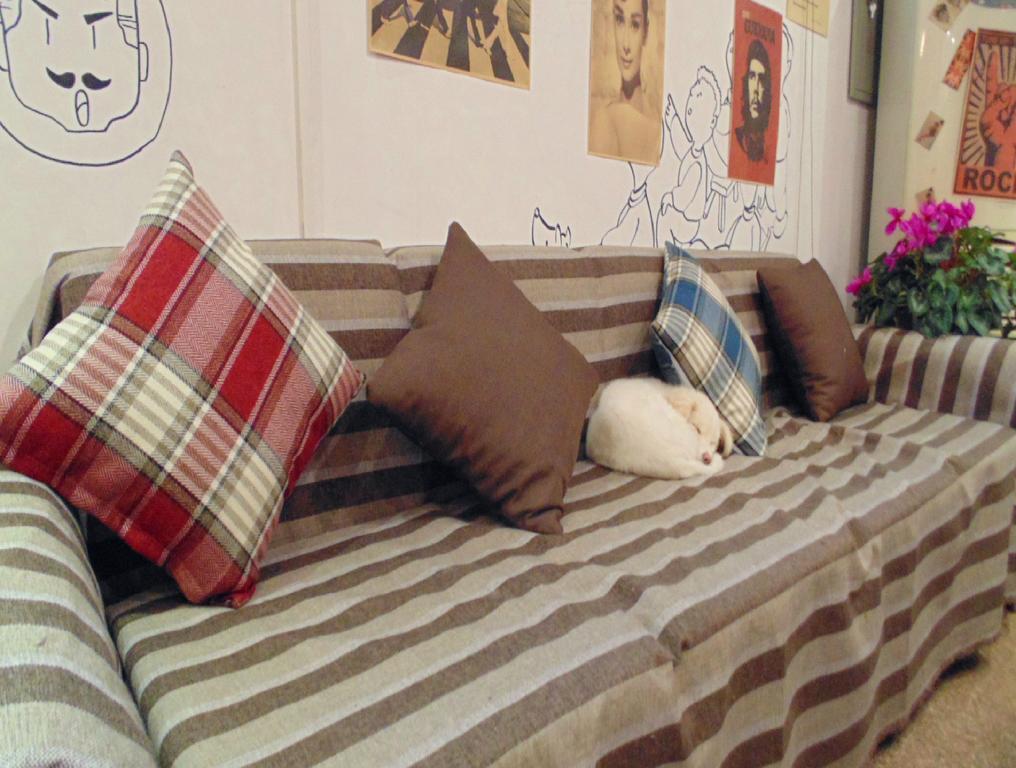 Hua Qiu Ku Youth Hostel East Street Branch西安市 部屋 写真